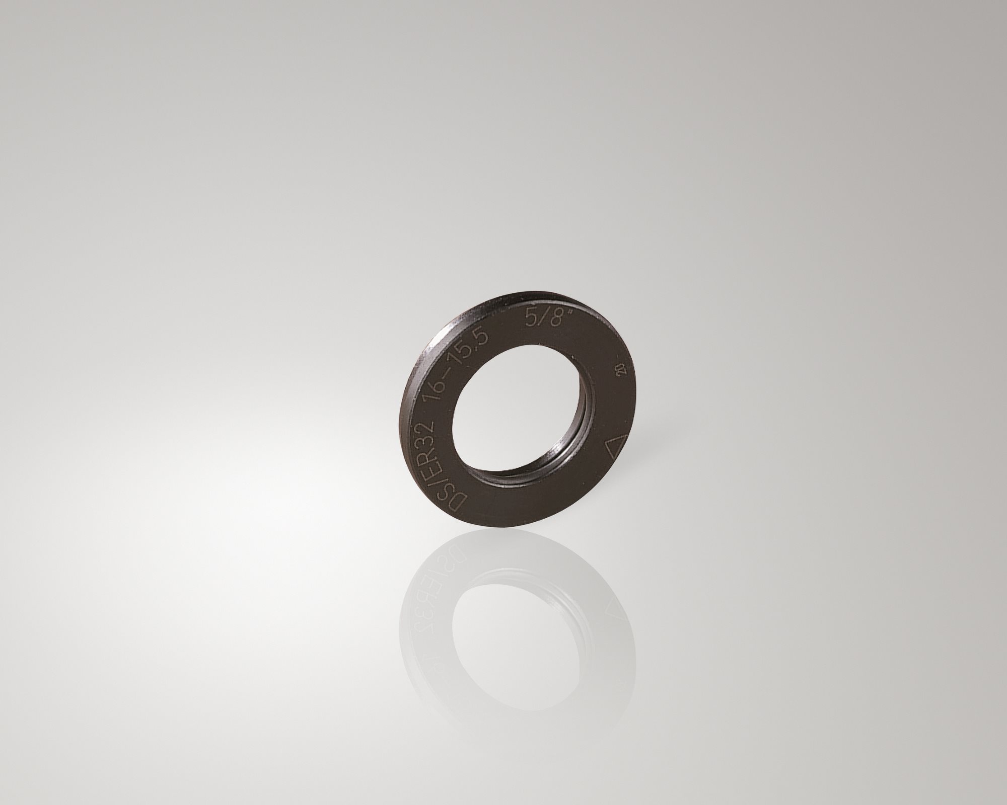 Sealing Ring.tif